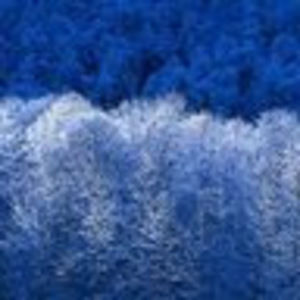 Meet your Posher, Anne